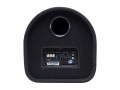 Aura SW-T25A 10" Активный